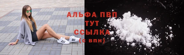 спиды Корсаков