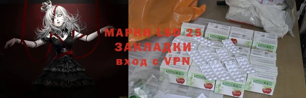 спиды Корсаков