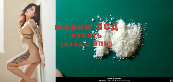 спиды Корсаков