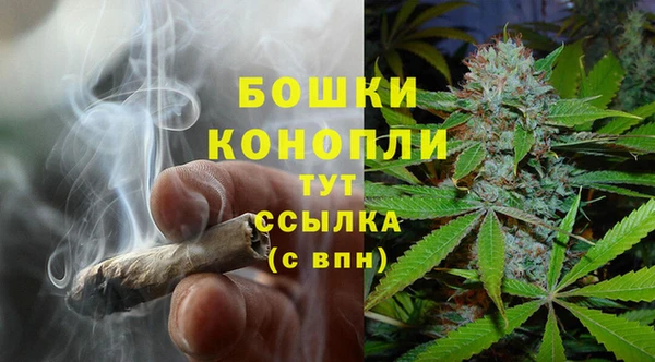спиды Корсаков