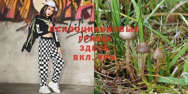 a pvp Краснослободск