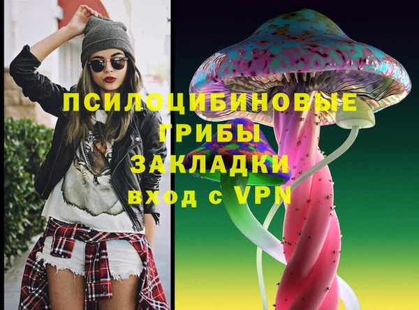 a pvp Краснослободск