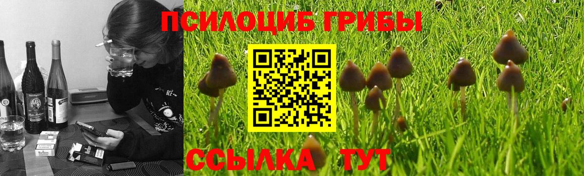 Лиски  хочу наркоту  Вход с VPN  Псилоцибиновые грибы ЛСД  Псилоцибиновые грибы мухоморы 